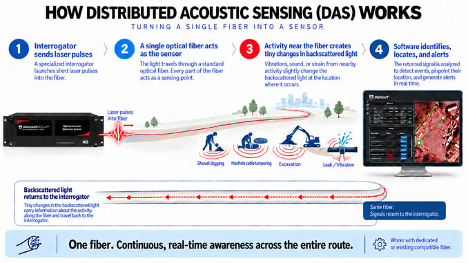 DAS Illustration w FOCUS and INSIGHT copy