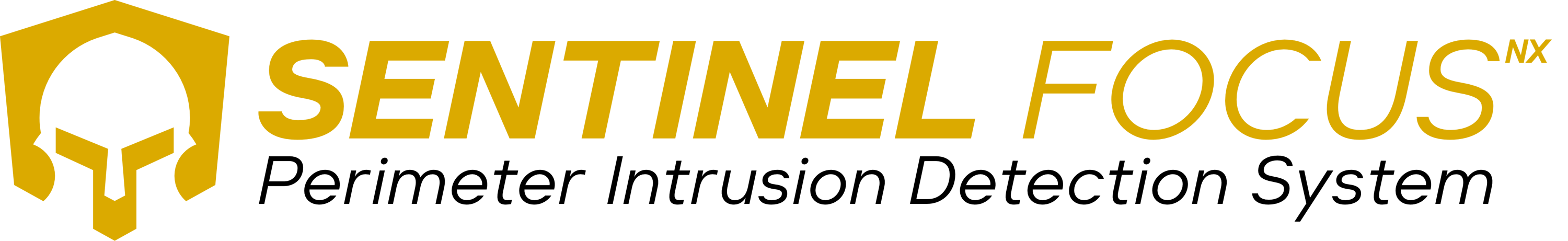 Sentinel Focus - Network Integrity Systems