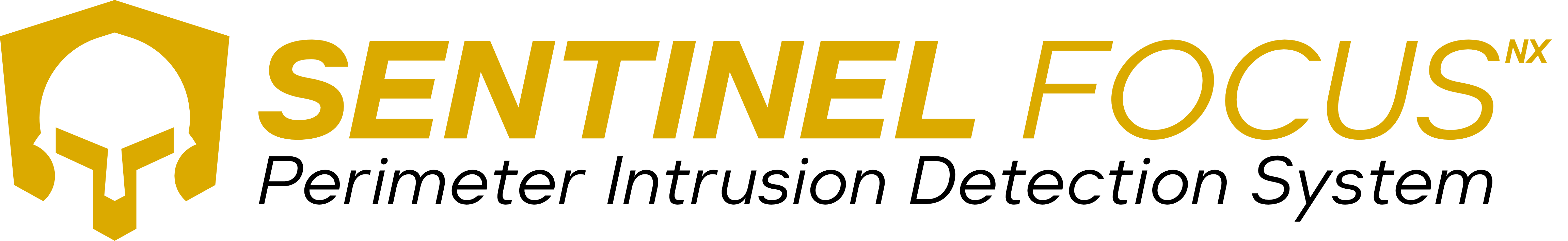 Sentinel Focus - Network Integrity Systems