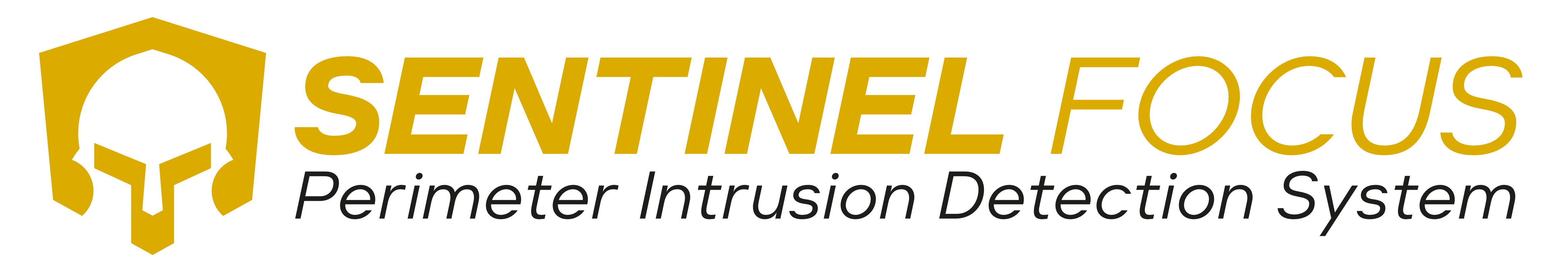 Sentinel Focus -Full Logo